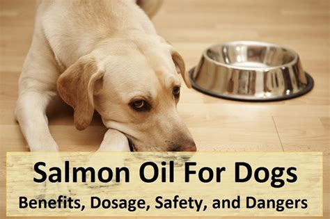 krill oil for dogs dosage.